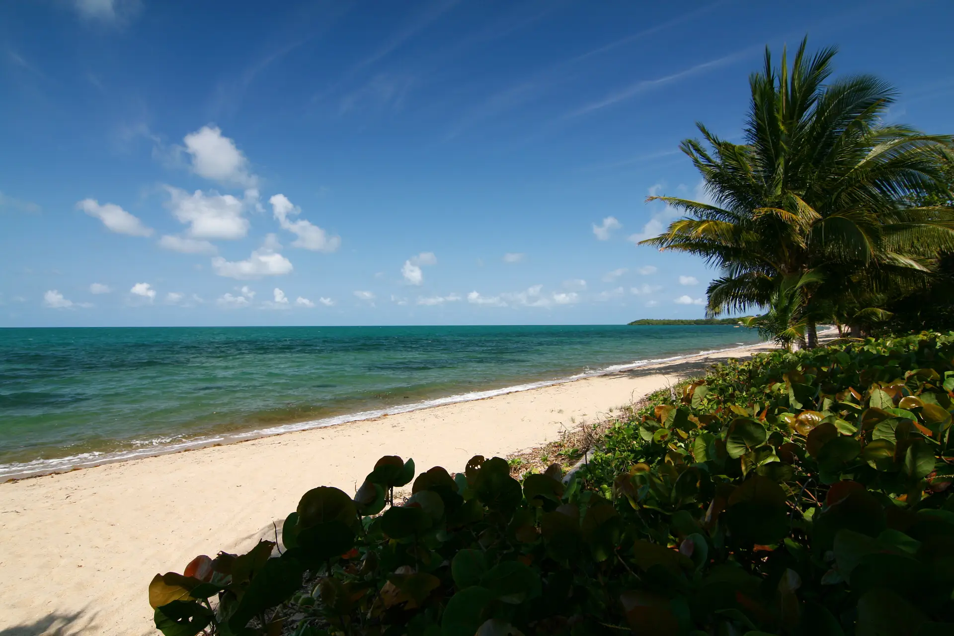 Almond Beach, Hopkins, Stann Creek, Belize