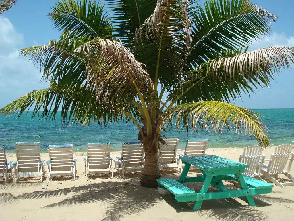 Barefoot Bar in Placencia, Belize