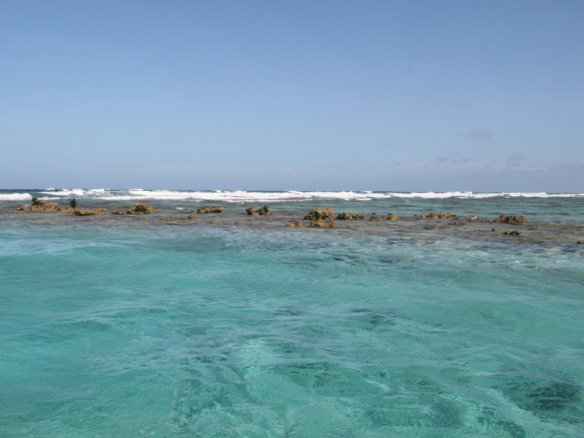 Belize Barrier Reef, Ambergris Caye, Belize