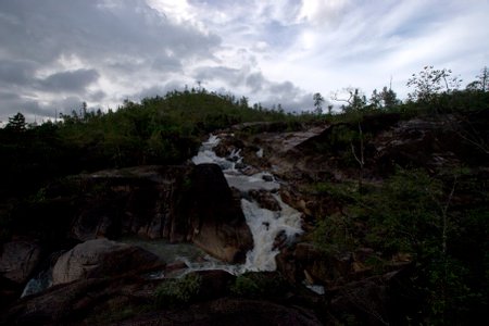 Mountain Pine Forest Reserve jpg in Cayo, Belize